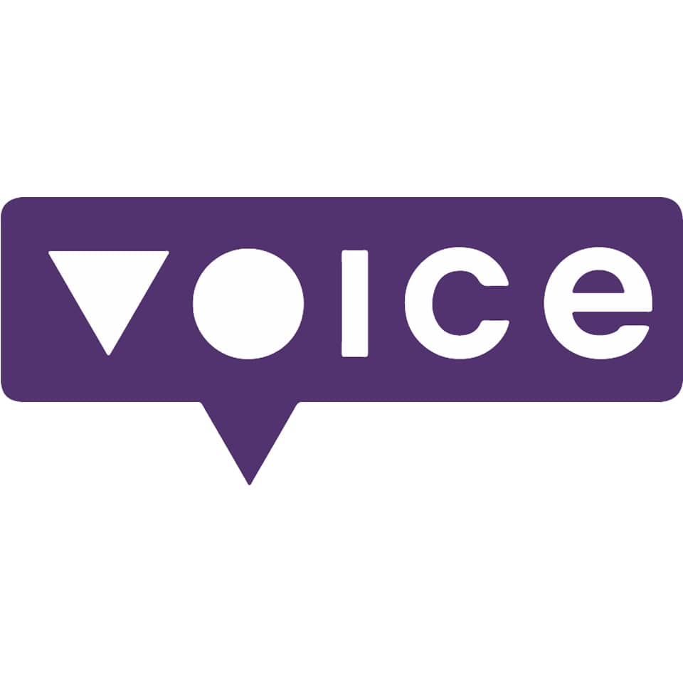 voice